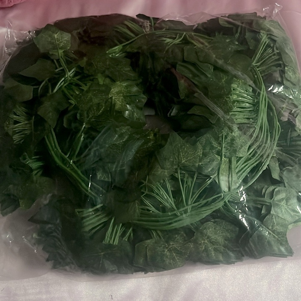 They are 12 pc vines color green to decorate .